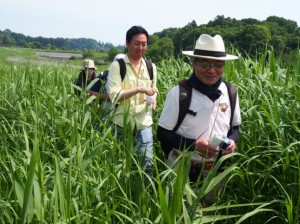 生い茂る草の中を進む