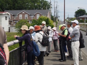 滝下橋の上から上流を望む