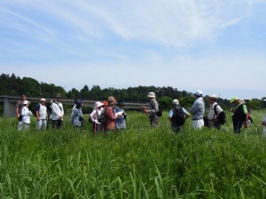 遊水地下流堤防での西原さん説明